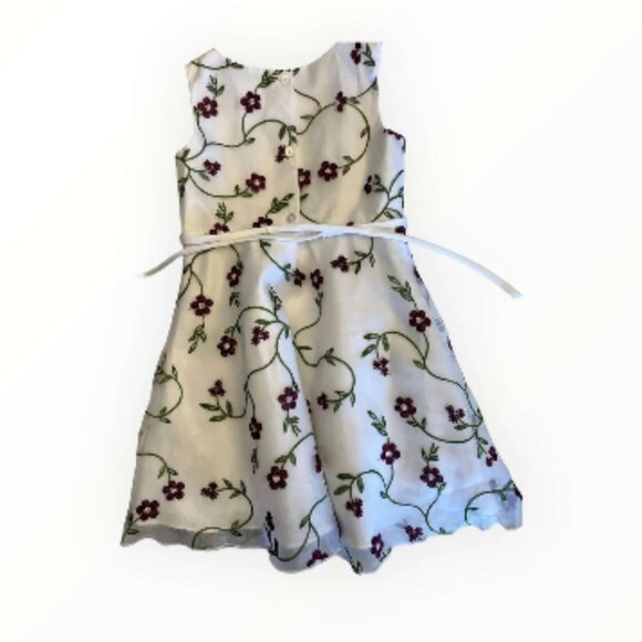 Youngland Dress (160-1) - Picture 1 of 2
